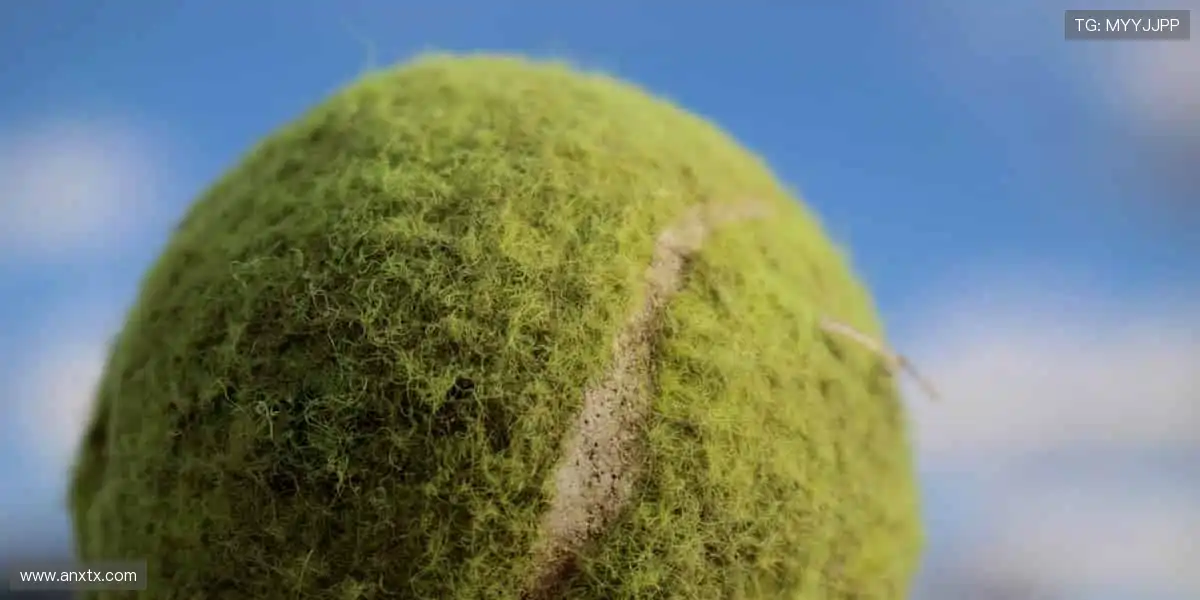 🏆 收藏热爱，把冠军荣耀穿在身上！🎁